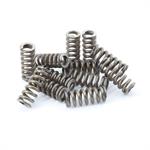 Brake Spring Kit RCG 5737 .300.0031 (12 SPRINGS)