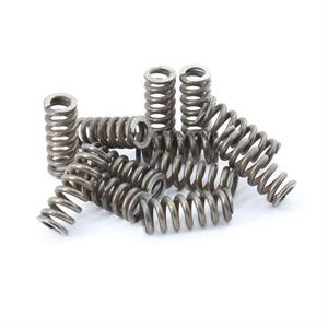 KIT MOLLE FRENO RCG 5737.300.0031 (12 Molle)