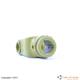 FORCELLA COLL.I           T 10