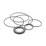 SEAL KIT FOR GFS FLANGE A,D,W series 3