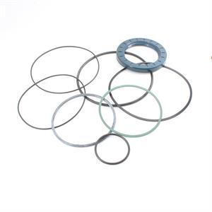 KIT GUARNIZIONI RCG (5737.300.0039) (Solo Freno)