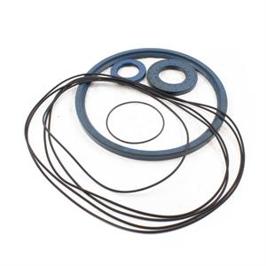 SEAL KIT PGA3003VM 5718.800.0550