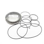 SEAL KIT PGRF280 (X GWP)