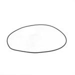 O-RING (2,62X202,87) 3800