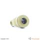 FORCELLA COLL.E             E 80